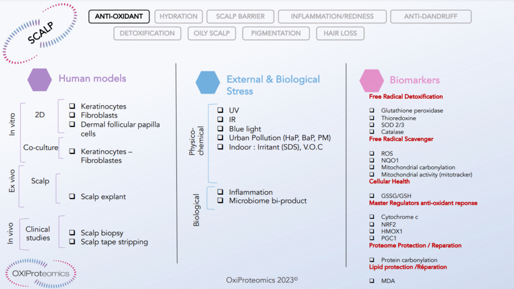 Exemple du support de vente papier